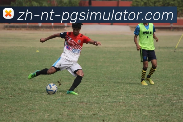 PG模拟器平台生态图