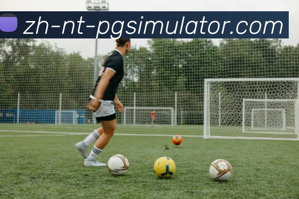 PG模拟器APP 封面图